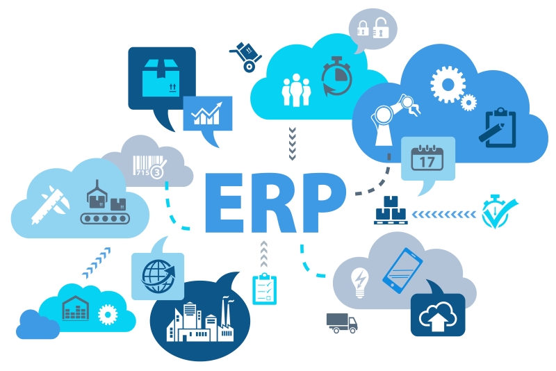 Workday Deployment Support: Seamless ERP Implementation