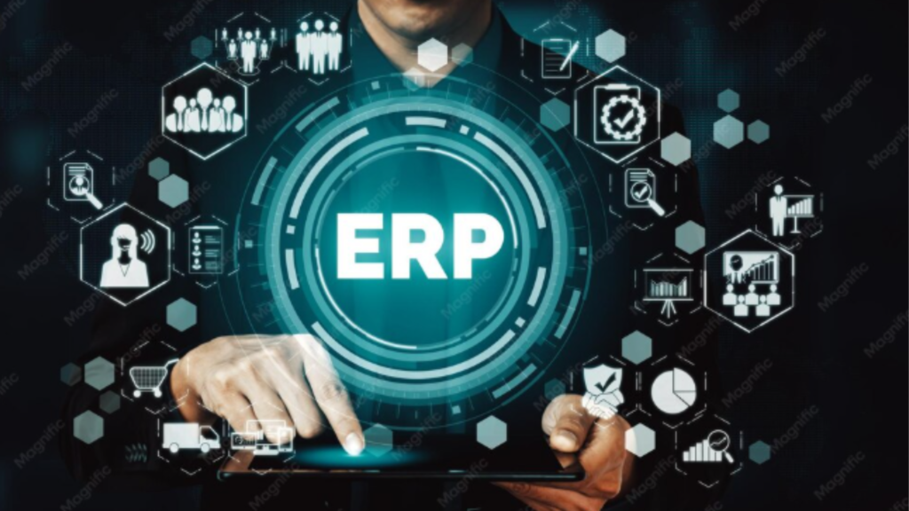 erp-consulting-services